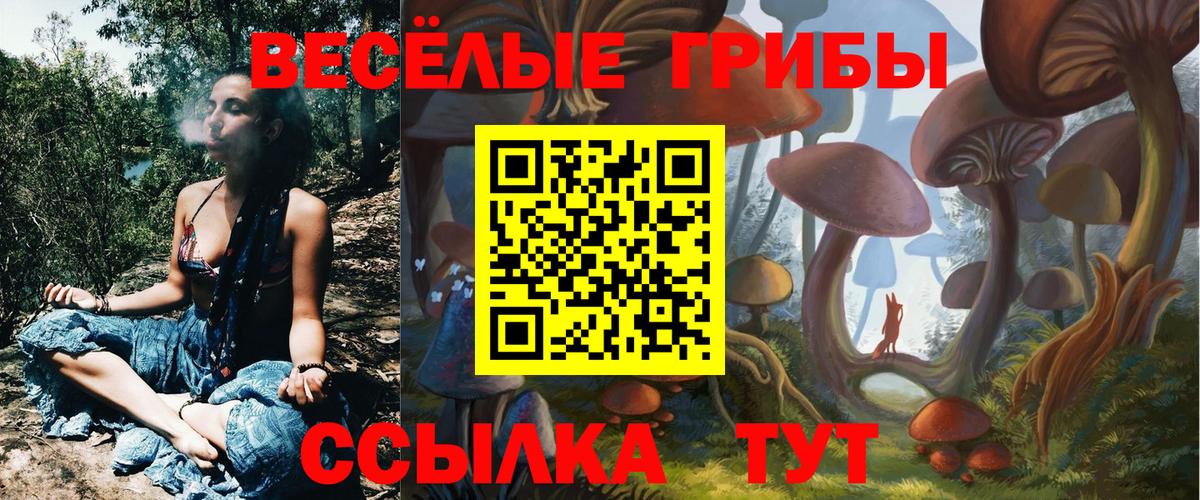 Галлюциногенные грибы ЛСД  Вход с VPN  хочу   Карачаевск 